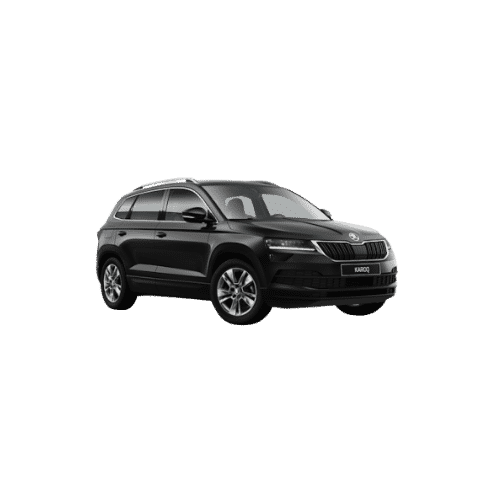 Skoda karoq style